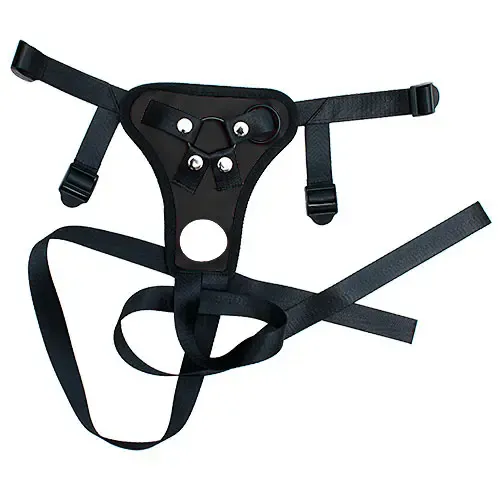 LYS-288-3.webp